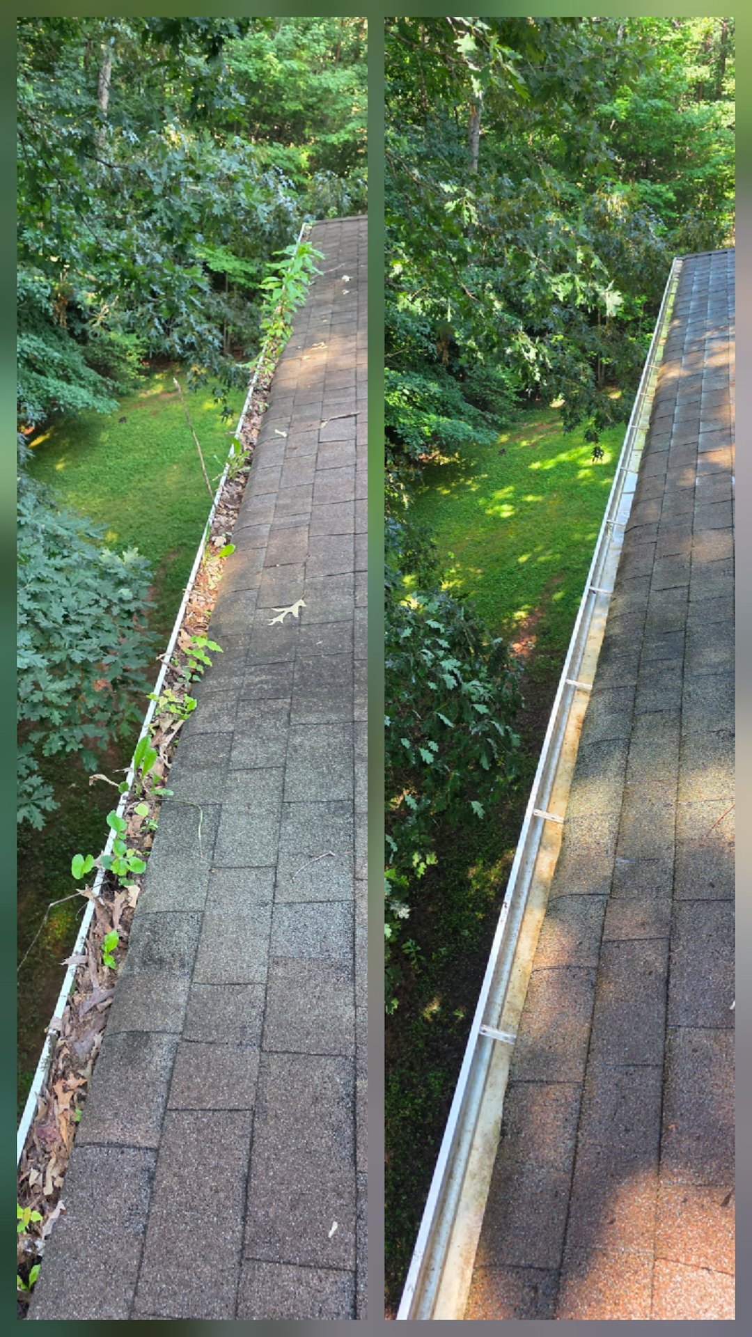 Gutter cleaning North Wilkesboro 