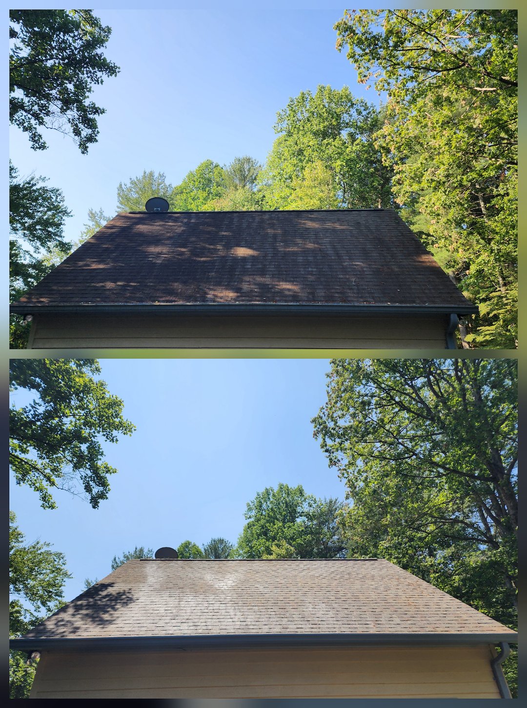 Roof cleaning Wilkesboro nc 